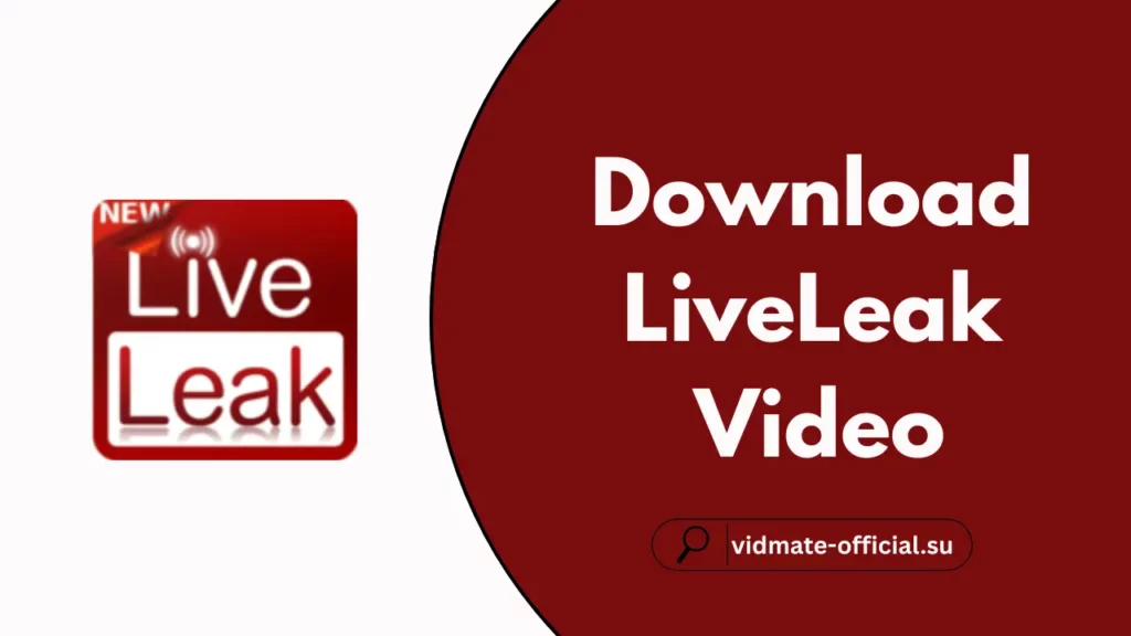 Download LiveLeak Video