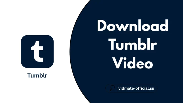 Download Tumblr Video