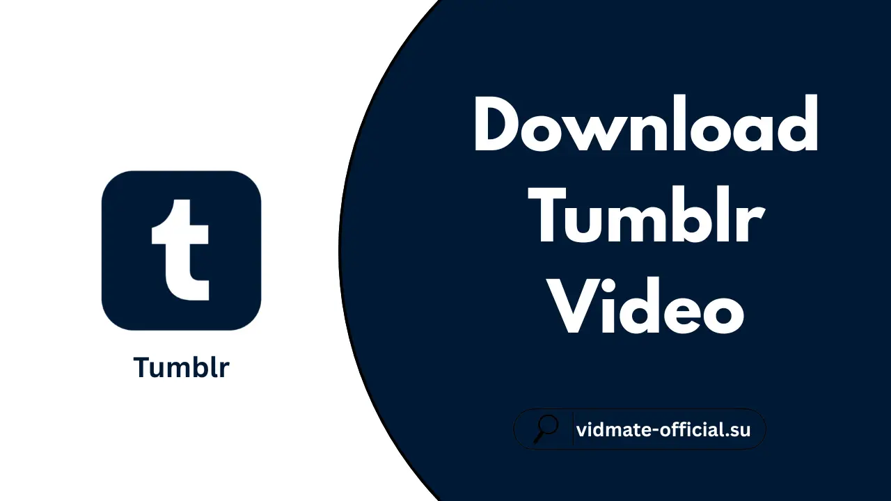 Download Tumblr Video